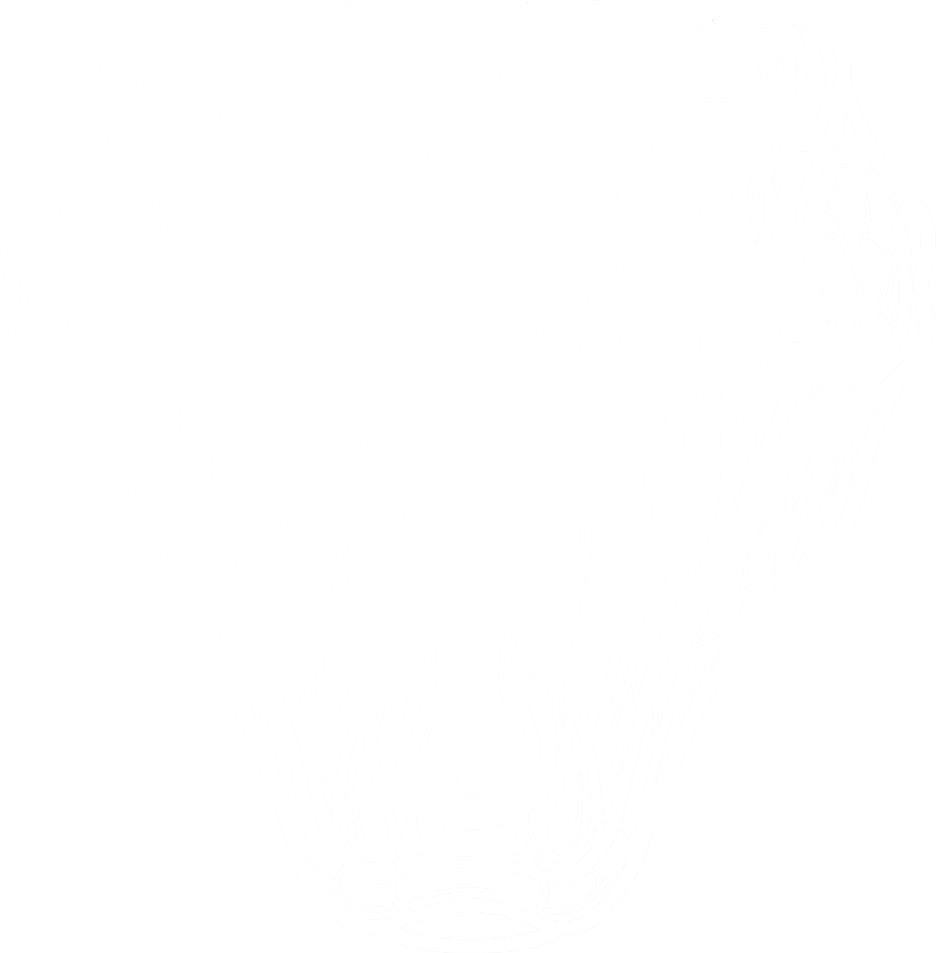 Anaconda